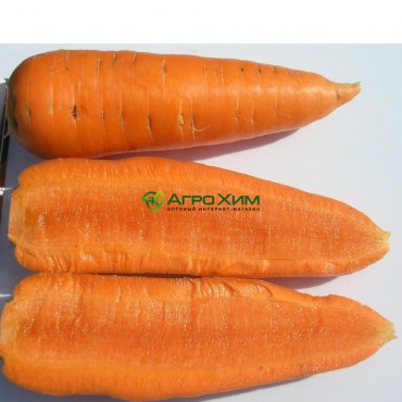 Морковь Шантане 500 г (Clause)